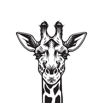 Giraffe head. Wild animal logo artwork design. Black and white vector illustration