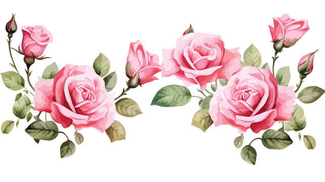 Watercolor vintage roses freehand draw cartoon vecto