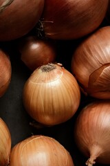 Still life with colorful, ripe onions. Art composition of the onions.