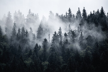 Misty mountain landscape