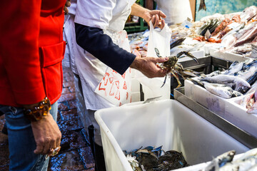 Elegant lady at market to fish counter - The seller is putting callinectes sapidus blue crabs into...