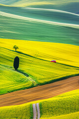 toscana countryside  fields, a small red car on a narrow road - 753239821