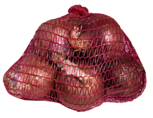 dried onions in a mesh
