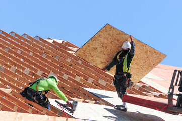 One construction worker carries a plywood sheet while another uses a pneumatic nailer to install...
