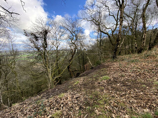 Fototapeta premium A view of the Cheshire Countryside at Peckforton Hills