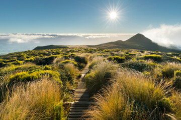 Weg um den Mount Taranaki, Pouakai Track, Egmont Nationalpark, Taranaki, Nordinsel, Neuseeland,...
