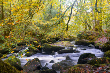 L'automne donne à la Rivière d'Argent, coulant dans la forêt d'Huelgoat des monts d'Arrée en...