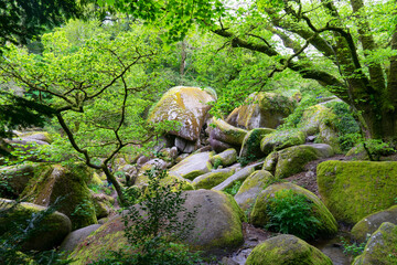 Le chaos rocheux de la forêt du Huelgoat, en Bretagne, dévoile un paysage envoûtant où les...