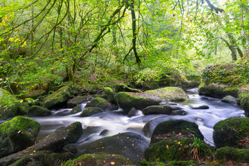 La pose longue fige la Rivière d'Argent, s'écoulant paisiblement à travers la forêt d'Huelgoat, créant une scène mystérieuse et captivante en Bretagne.