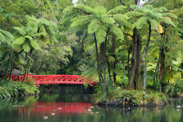 rote Brücke im Pukekura Park, Baumfarne, New Plymouth, Taranaki, Nordinsel, Neuseeland, Ozeanien