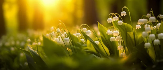 Wandcirkels aluminium Serene lily of the valley in spring morning light. © Pics_With_Love