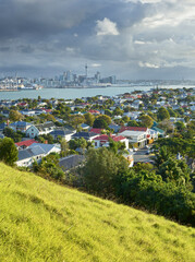 Auckland vom Mt. Victoria, Auckland, Nordinsel, Neuseeland, Ozeanien