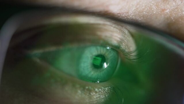Reflection of green monitor in eyeglasses. Blue gray woman eye looks at laptop display, person works at computer, programming, hacks system. Female hacker in glasses, macro close up shot of eye.