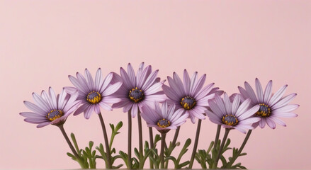 Obraz na płótnie Canvas pink and white flowers