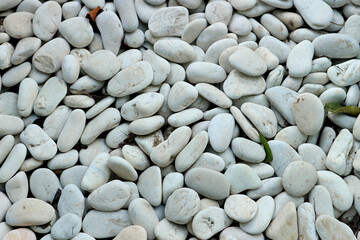 Texture of white decorative gravel or white pebbles stone as background.