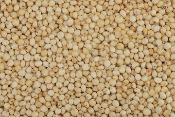 background of sorghum seeds. Top view. Flat lay.