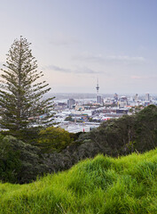 Fototapeta na wymiar Blick vom Mount Eden über Auckland, Nordinsel, Neuseeland, Ozeanien