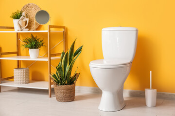 Interior of stylish bathroom with houseplants and ceramic toilet bowl near orange wall