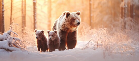 Mother Bear Protecting Cubs in Chilly Arctic Snow