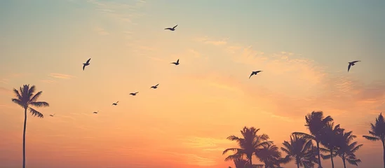 Zelfklevend Fotobehang Majestic Flight of Birds Over Golden Sunset Beach - Nature's Graceful Display © vxnaghiyev