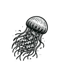 Jelly fish . Isolated vector illustration