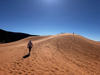 Sand Dunes - Utah