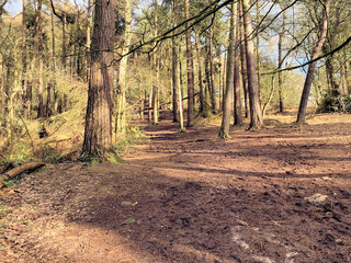 A view of the Cheshire Countryside at Peckforton Hills
