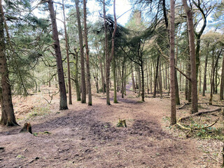 A view of the Cheshire Countryside at Peckforton Hills