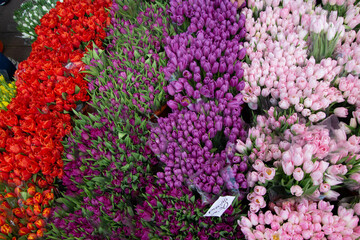 Closeup flower romatntic bouqet multi colored decoration, flower shop