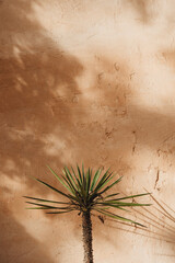 Morocco style © michaldolibog