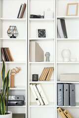 Shelf unit with folders and books in office