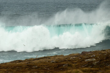 An angry turquoise green color massive rip curl of a wave as it rolls along a beach. The white mist...