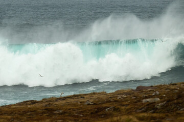 An angry turquoise green color massive rip curl of a wave as it rolls along a beach. The white mist and froth from the wave are foamy and fluffy. The Atlantic Ocean in the background is deep blue. 