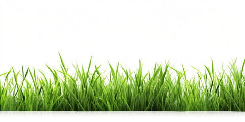 green grass on white background сreated with Generative Ai
