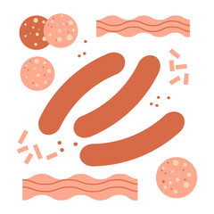 Vector set of meat sausages, bacon and salami. Cute appetizing. Cartoon chicken, pork, beef sausages. Grocery meat hot dogs. Ingredient salami slice, cooking, barbecue delicatessen. Food, meat product - 753269036