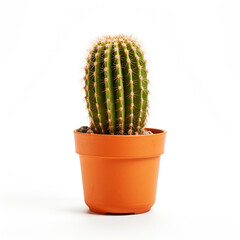 cactus in a pot on a white background сreated with Generative Ai