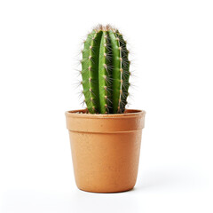 cactus in a pot on a white background сreated with Generative Ai