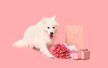 Fototapeta na wymiar Cute Samoyed dog with beautiful tulip bouquet, gift boxes and shopping bag on pink background