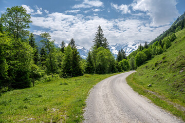 East Alpes at the Ferleiten area in Austria - 753273212