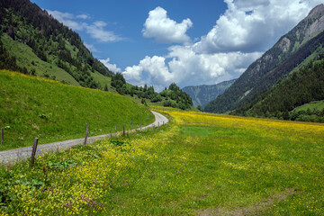 East Alpes at the Ferleiten area in Austria - 753273236