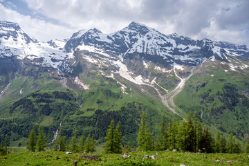 East Alpes at the Ferleiten area in Austria - 753273263
