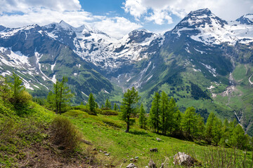 Fototapeta na wymiar East Alpes at the Ferleiten area in Austria