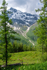 East Alpes at the Ferleiten area in Austria - 753273296