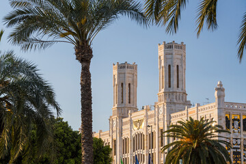 Palazzo Civico di Cagliari, Palmen, Cagliari, Sardinien, Italien
