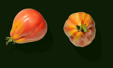 Tomato on dark green background top view - 753277028