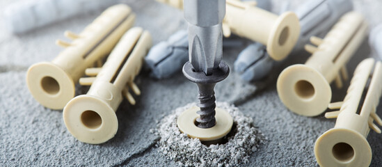 screwdriver screw and dowel in a concrete wall background