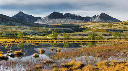Sumpf, Tümpel, Högronden Massiv, Döralen, Rondane Nationalpark, Oppland, Norwegen