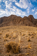 landscape in the desert with brown grass, travel