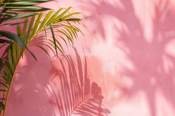 Foto auf Acrylglas Blurred shadow from palm leaves on the pink wall. Minimal abstract background for product presentation. Spring and summer. © Haseeb