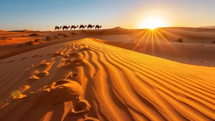 Schilderijen op glas Caravan among the dunes. Silhouettes of camels against the backdrop of the setting sun in the desert. And traces of a caravan in the sand. © Nataly